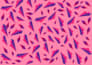 design seamless repeat patterns for textiles and fashion apparel